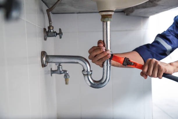 Best Plumbing Inspection Services  in Bloomingdale, FL