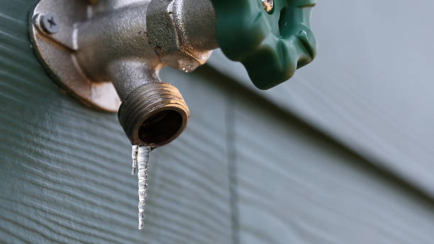 Best Plumbing Repair Near Me  in Bloomingdale, FL